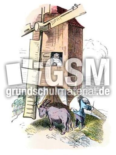 Bauer-Mueller 02.jpg